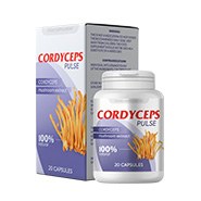 Cordyceps Pulse lungs termék