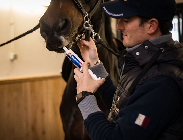 Horse Boost termék
